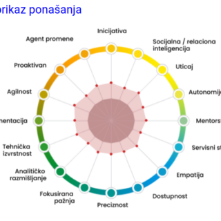 PDA analiza tima
